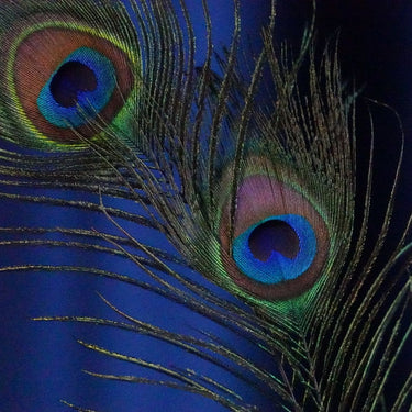 Luxury Peacock Feather Tickler with Gold Accent Handle, French-Inspired Sensory Tease Tool for Couples Sensation Play